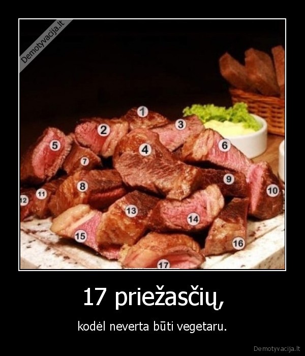 17 priežasčių, - kodėl neverta būti vegetaru.