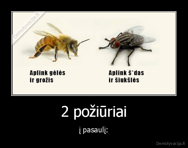 2 požiūriai - į pasaulį: