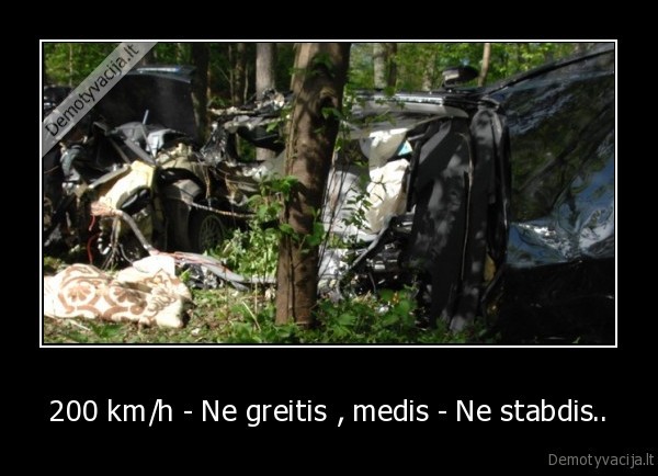 200 km/h - Ne greitis , medis - Ne stabdis.. - 