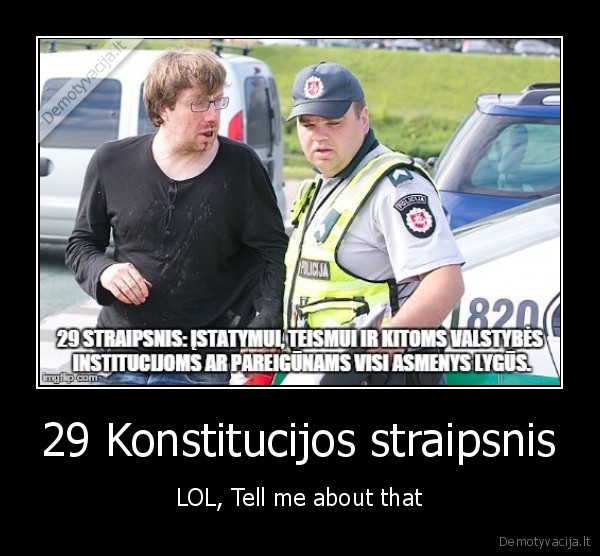 29 Konstitucijos straipsnis - LOL, Tell me about that