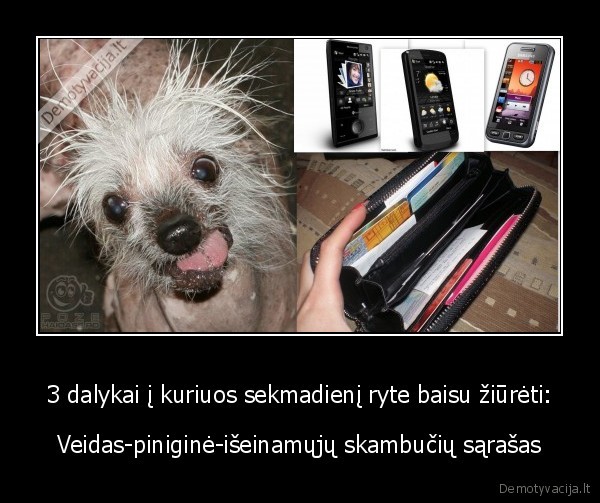 3 dalykai į kuriuos sekmadienį ryte baisu žiūrėti: - Veidas-piniginė-išeinamųjų skambučių sąrašas