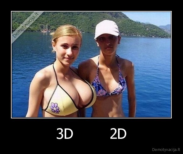 3D        2D - 