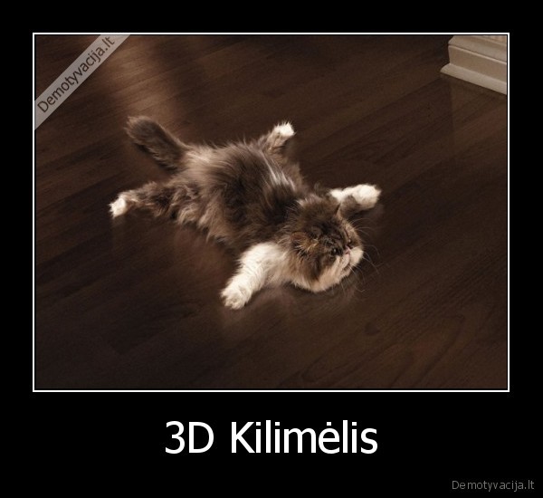 3D Kilimėlis - 