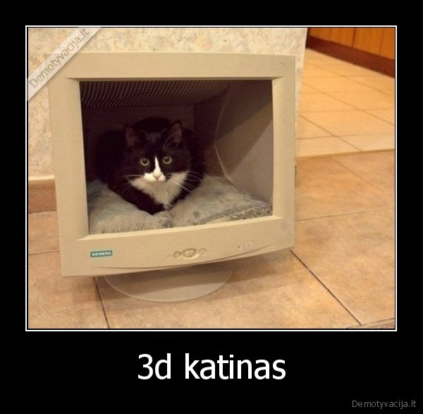 3d katinas - 