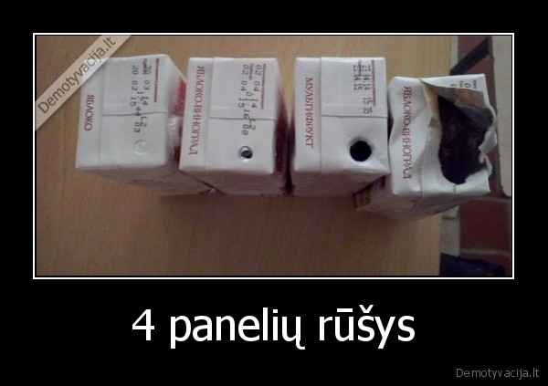 4 panelių rūšys - 