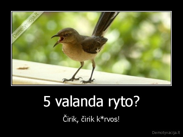 5 valanda ryto? - Čirik, čirik k*rvos!