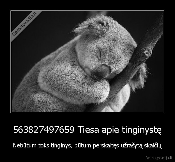 563827497659 Tiesa apie tinginystę - Nebūtum toks tinginys, būtum perskaitęs užrašytą skaičių