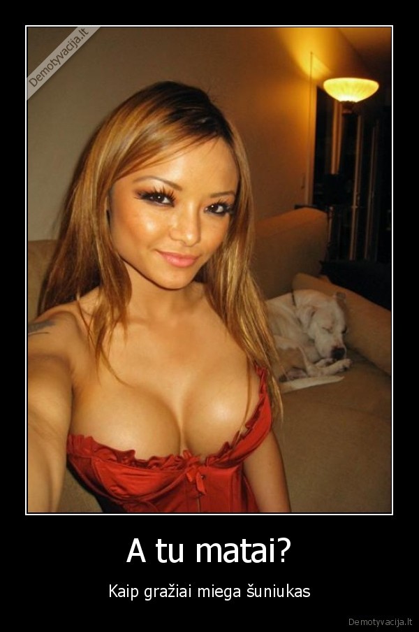 A tu matai? - Kaip gražiai miega šuniukas