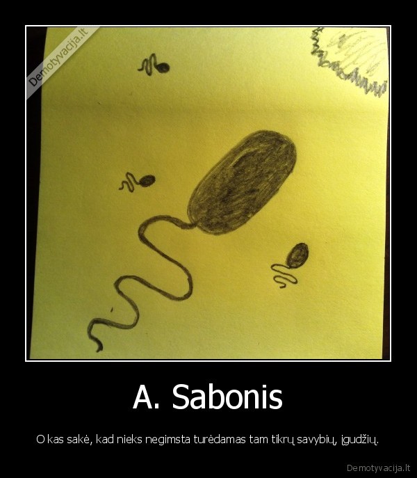 A. Sabonis - O kas sakė, kad nieks negimsta turėdamas tam tikrų savybių, įgudžių.