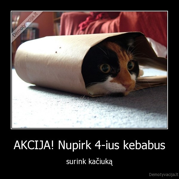 AKCIJA! Nupirk 4-ius kebabus - surink kačiuką