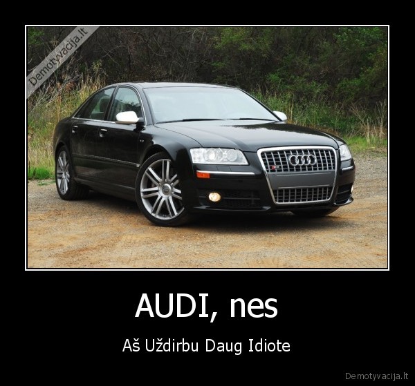 AUDI, nes - Aš Uždirbu Daug Idiote