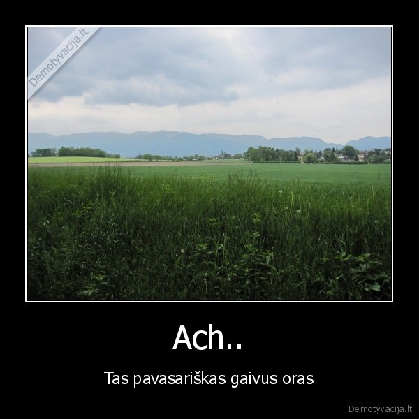 Ach.. - Tas pavasariškas gaivus oras