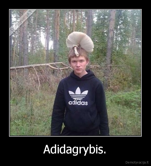 Adidagrybis. - 