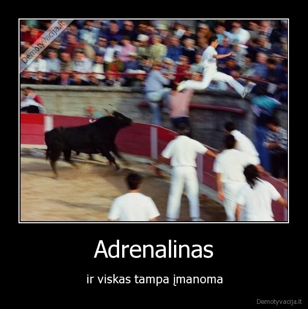 Adrenalinas - ir viskas tampa įmanoma