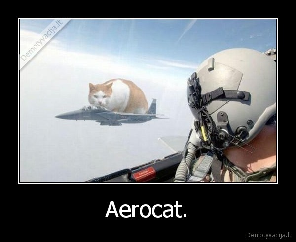 Aerocat. - 