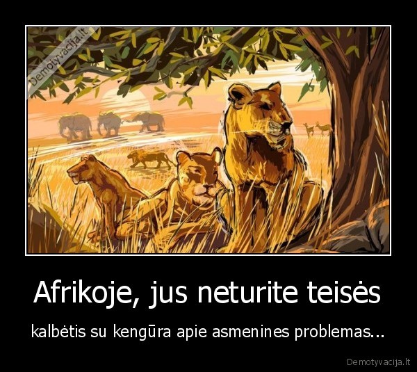 Afrikoje, jus neturite teisės - kalbėtis su kengūra apie asmenines problemas...