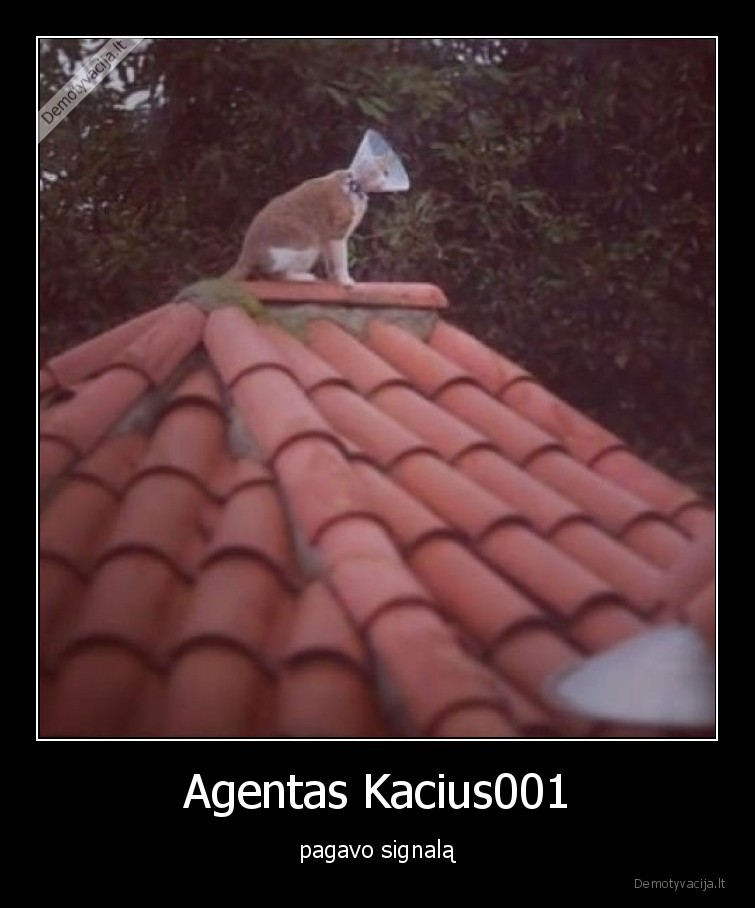 Agentas Kacius001 - pagavo signalą