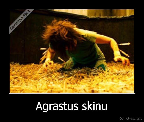 Agrastus skinu - 