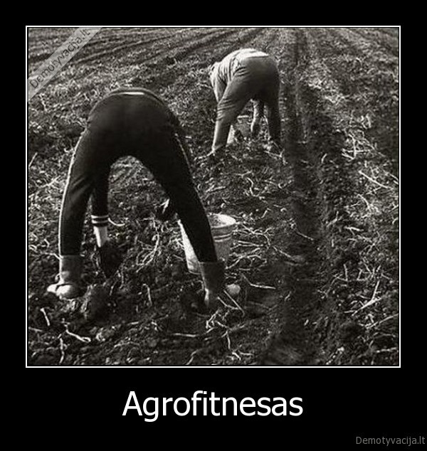 Agrofitnesas - 