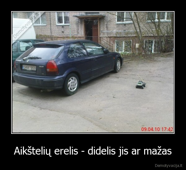 Aikštelių erelis - didelis jis ar mažas - 