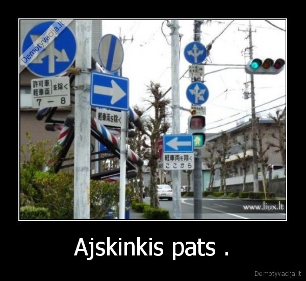 Ajskinkis pats . - 