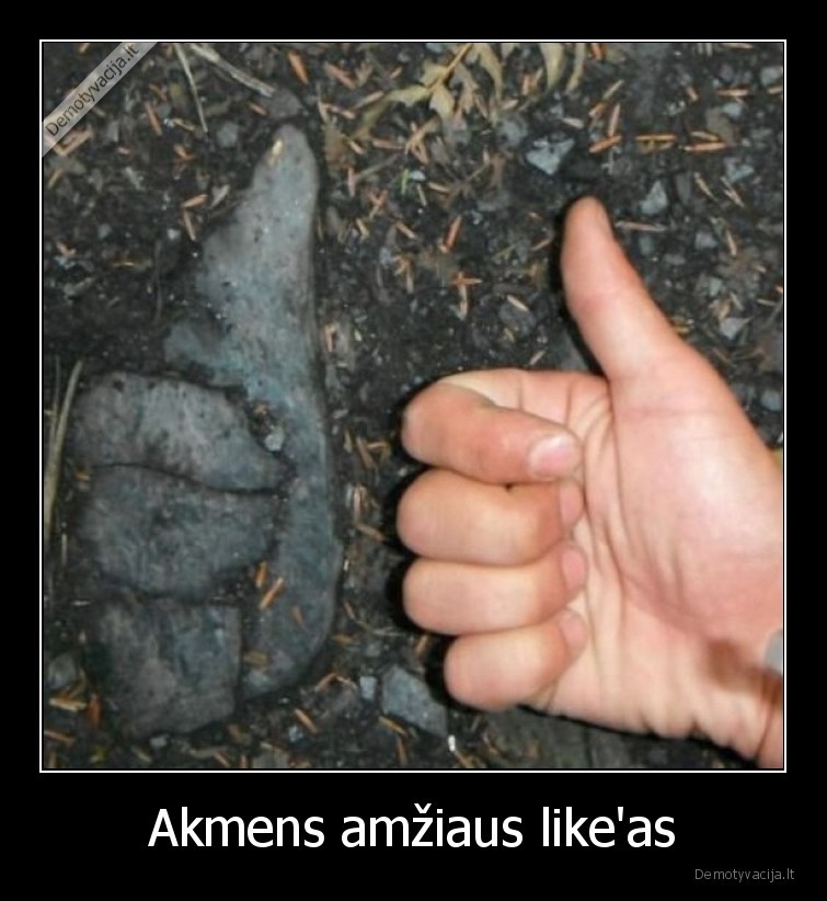 Akmens amžiaus like'as - 