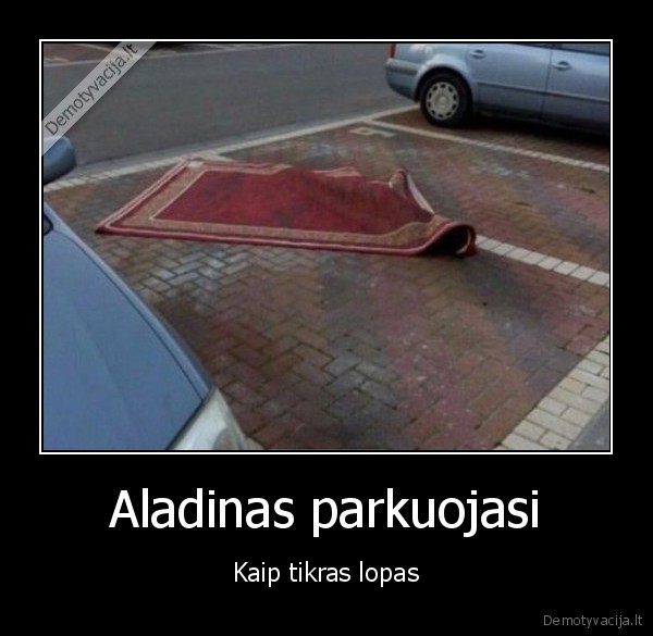 Aladinas parkuojasi - Kaip tikras lopas