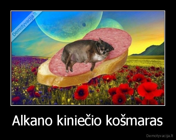 Alkano kiniečio košmaras - 