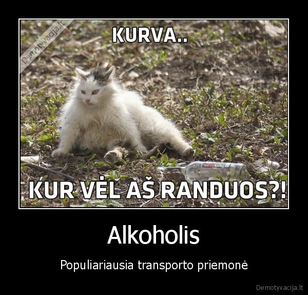 Alkoholis - Populiariausia transporto priemonė