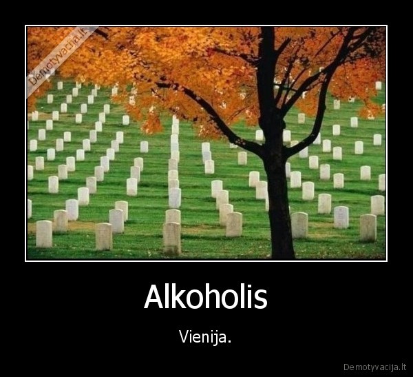 Alkoholis - Vienija.