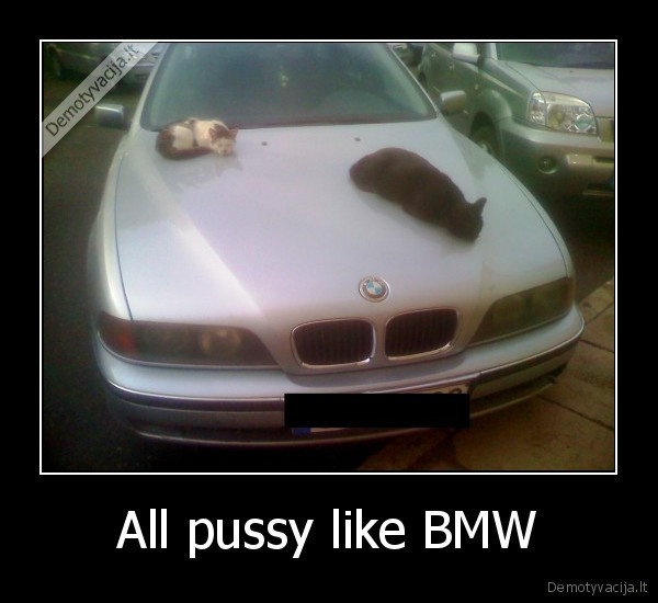 All pussy like BMW - 