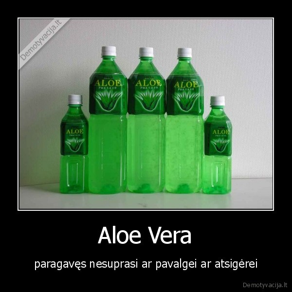 Aloe Vera - paragavęs nesuprasi ar pavalgei ar atsigėrei