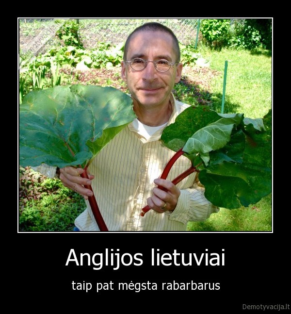 Anglijos lietuviai - taip pat mėgsta rabarbarus