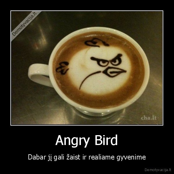 Angry Bird - Dabar jį gali žaist ir realiame gyvenime