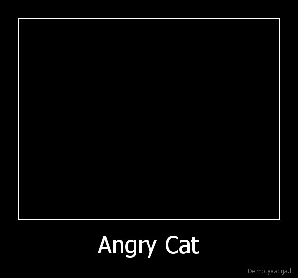 Angry Cat - 