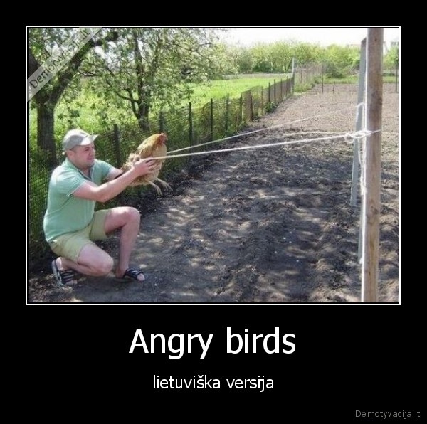 Angry birds - lietuviška versija