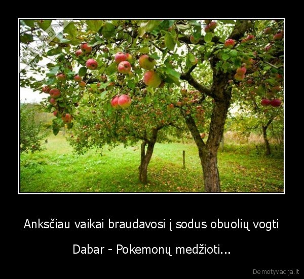 Anksčiau vaikai braudavosi į sodus obuolių vogti - Dabar - Pokemonų medžioti...