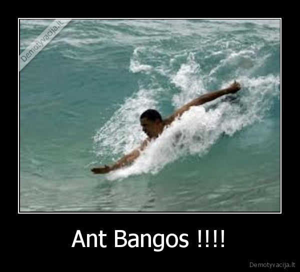 Ant Bangos !!!! - 