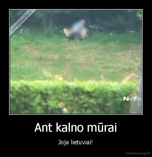 Ant kalno mūrai - Joja lietuviai!