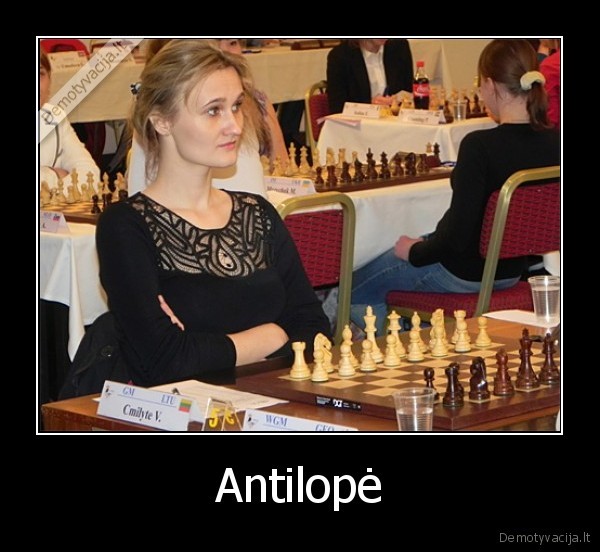 Antilopė - 