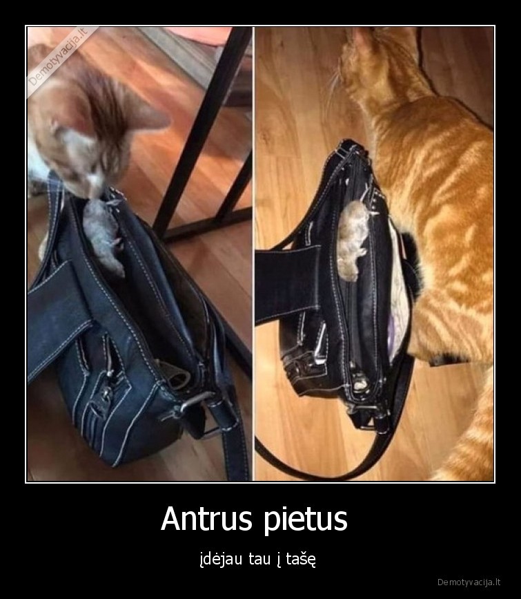 Antrus pietus  - įdėjau tau į tašę 