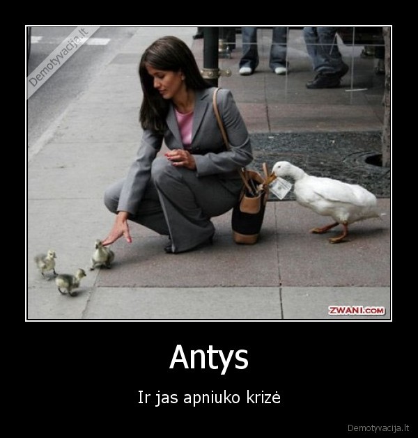 Antys - Ir jas apniuko krizė