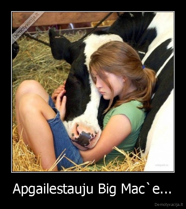 Apgailestauju Big Mac`e... - 