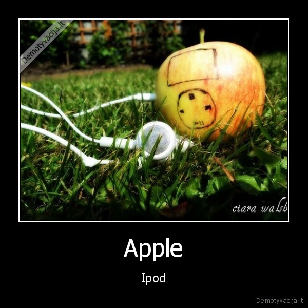 Apple - Ipod