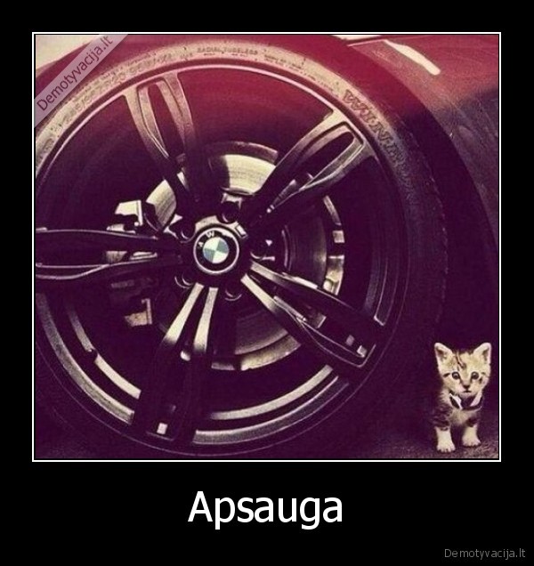 Apsauga - 