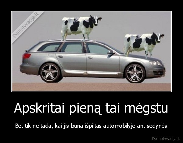 Apskritai pieną tai mėgstu - Bet tik ne tada, kai jis būna išpiltas automobilyje ant sėdynės