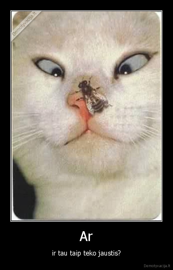 Ar - ir tau taip teko jaustis?