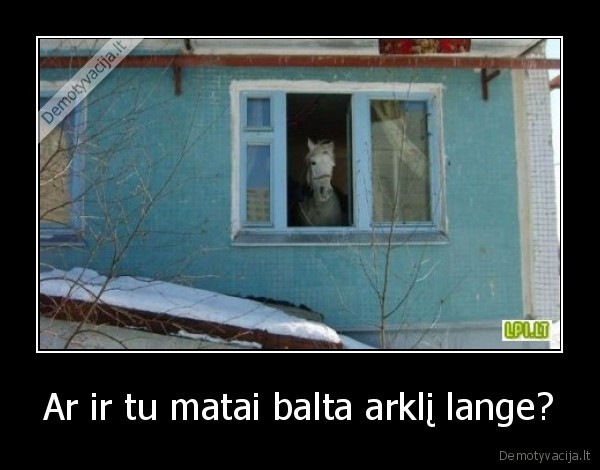 Ar ir tu matai balta arklį lange? - 