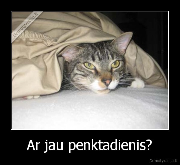 Ar jau penktadienis? - 