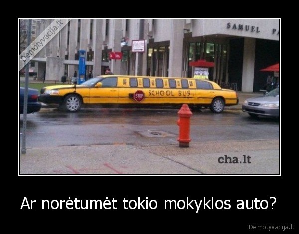 Ar norėtumėt tokio mokyklos auto? - 